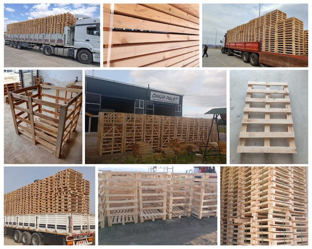 Chatham Wooden Pallets, Buy Wooden Pallets Wholesale